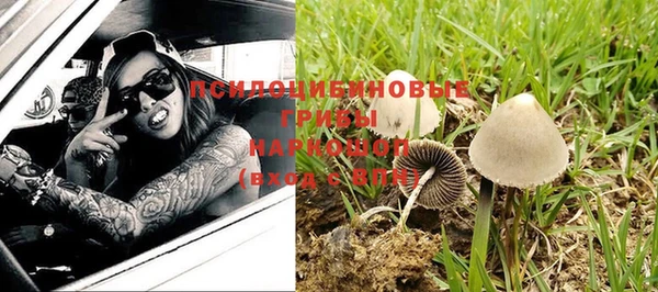 ПСИЛОЦИБИНОВЫЕ ГРИБЫ Переславль-Залесский
