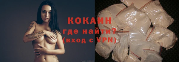 дурь Пересвет