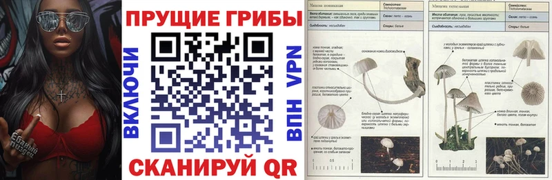 Галлюциногенные грибы Cubensis  купить наркоту  blacksprut ONION  Светлый 