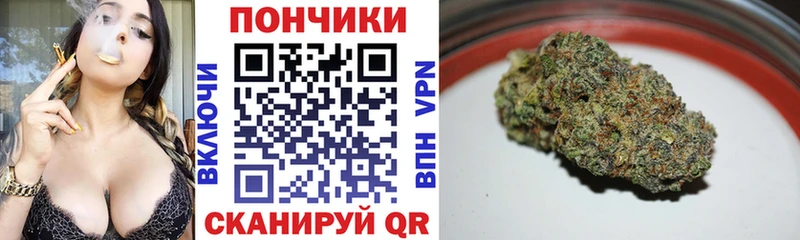 цена   Светлый  MEGA как зайти  Бошки Шишки SATIVA & INDICA 